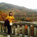 청평사 - 1330 | 청평사