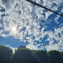 인하대강남체육관 | 9-2