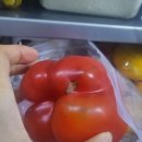주황농장 | 농라 명문농장 파프리카 공품3키로후기