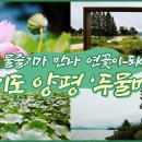 [UHD 한국 100경] 두 물줄기가 만나 연꽃이 되다. 경기도 양평 '두물머리' 이미지