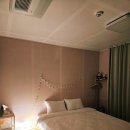 빅파인트리하우스 이미지