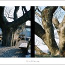 보천2리 이미지