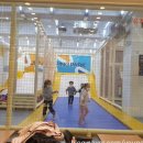 점핑파크 서초점 이미지