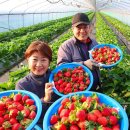 맛.보이소 이미지