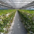 내기농장 이미지