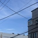 장보고자판기