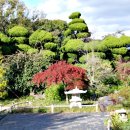 여미지식물원 이미지