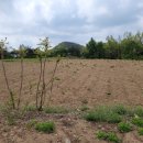 정안면~유구읍 지방도 이미지