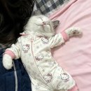포록 | 빠르게 낋여온 일상