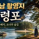 강과소나무 | 영월 가볼만한곳 왕사남 촬영지 청령포 방문 후기 단종의 유배지 소나무 그림자 아래서 마음을 쉬다