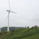 영진목장 이미지