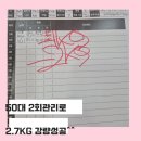 다산동 다이어트 50 대 2회 관리 2.7kg 감량 성공