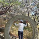 자장암 마애아미타여래삼존상 | [사찰순례][통도사와18암자][18편] 개구리 암자 자장동천 <자장암> 양산가볼만한곳