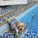 멍스빌리지풀빌라4 이미지