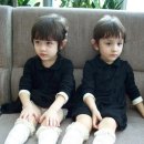 쌍둥이 - 동작구 노들로 674 | 쌍둥이
