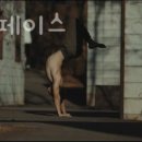 솔롱고스 이미지