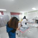 원애견샵 이미지