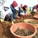 황토내음 이미지