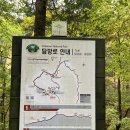 [강원명산20 #20｜명산100 #13] 오대산 비로봉 최단코스 상원사~비로봉 가을 단풍 산행 완전정리 🍁 주차...
