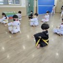 국제키즈태권도 이미지