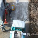 이영재농장 이미지