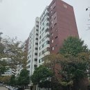 서울광장초등학교 이미지