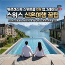 예술夜 패키지 (2017 하반기) | [스위스 신혼여행 완벽 가이드] 뷔르겐스톡 리조트 해부 🇨🇭 컨템포러리 vs 헤리티지 객실 전격 비교...