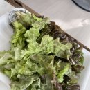 키다리석쇠불고기 이미지