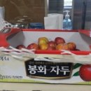 진이오얏농원