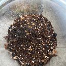 테라리움 클래스 이미지