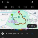 위드나무