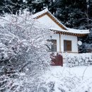 샘골공원1 이미지