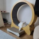 냥냥쌀롱 | [나비나무 스마트캣휠 큐브] 2년 사용 후기(내돈내산)