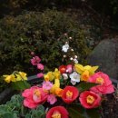 삼우농장 이미지