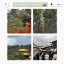 버스승차대 15-211 | 오사카 당일치기 교토버스투어(아이트립 한국인가이드 후기),교토맛집리스트(오즈루)