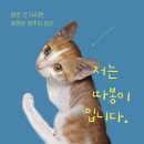 <b>따봉</b>이 이야기 (+도와주기)