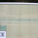 개천사 부도군 이미지