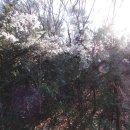 산성버스정류장 이미지