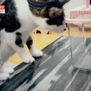 두화목장 이미지