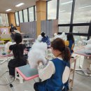 개인정애견샵 이미지