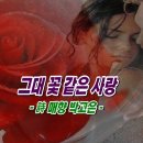 그대 꽃 같은 사랑 / 詩 매향 박고은, 찻잔에 그대 닮은 꽃잎 한 장 띄워... 이미지