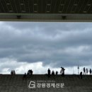 [강원경제신문 - 위점숙의 디카 + 詩와 하루] 염진희/ 전체 관람가 이미지