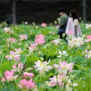 낮 최고 30도…강원·충북·경상 내륙 오후 비 이미지