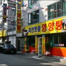 대전 대덕구 삼계탕&보신탕 잘하는집 '옥천토종영양탕' 이미지