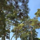 사매면 인화마을 이미지