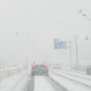 DS 모터스 이미지