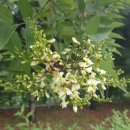 우석초등학교 이미지