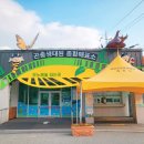 쇠똥구리 마을 | 경북 예천 곤충생태원 아이와 가볼만한곳 어린이체험 가득!