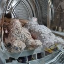 타워세탁 이미지