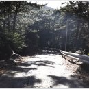 양지암등대길 이미지